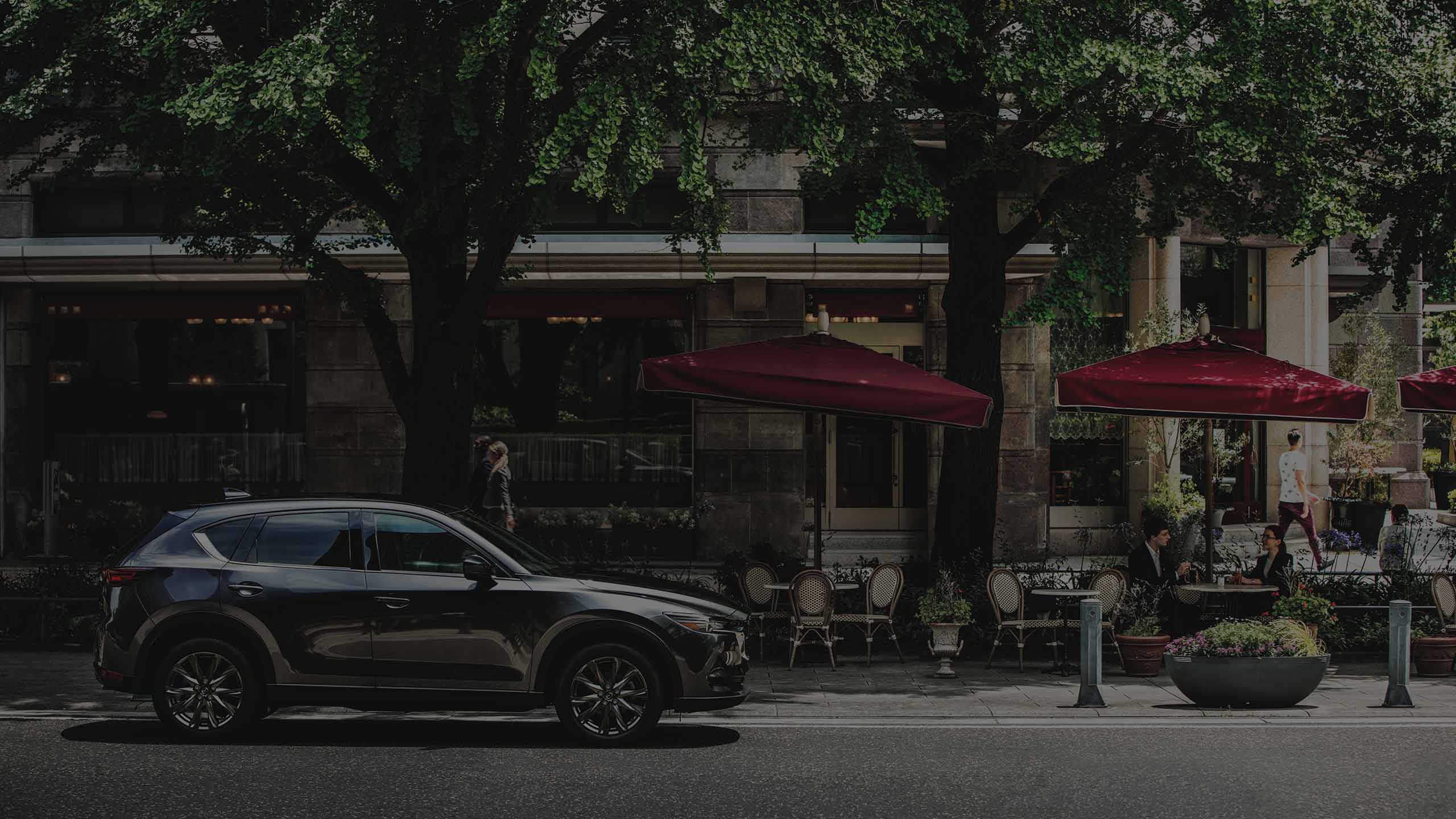 homepage hero image